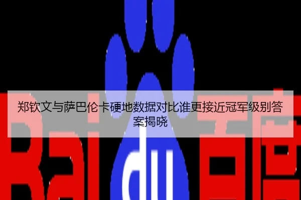 郑钦文与萨巴伦卡硬地数据对比谁更接近冠军级别答案揭晓