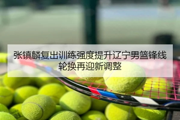 张镇麟复出训练强度提升辽宁男篮锋线轮换再迎新调整